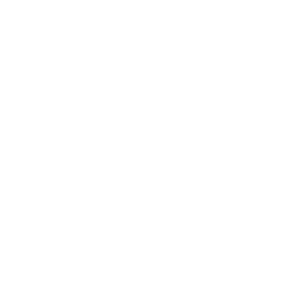 Akzo-Nobel logo