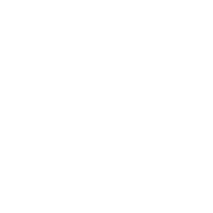 GERSON logo