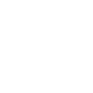 PRO Form logo