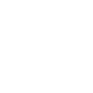 SATA logo