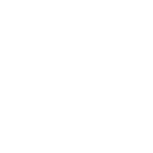 SEM logo
