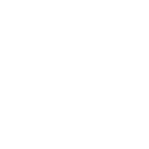 Wanda logo